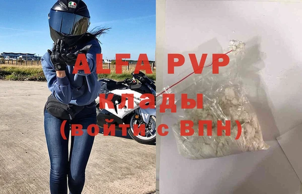 индика Снежногорск